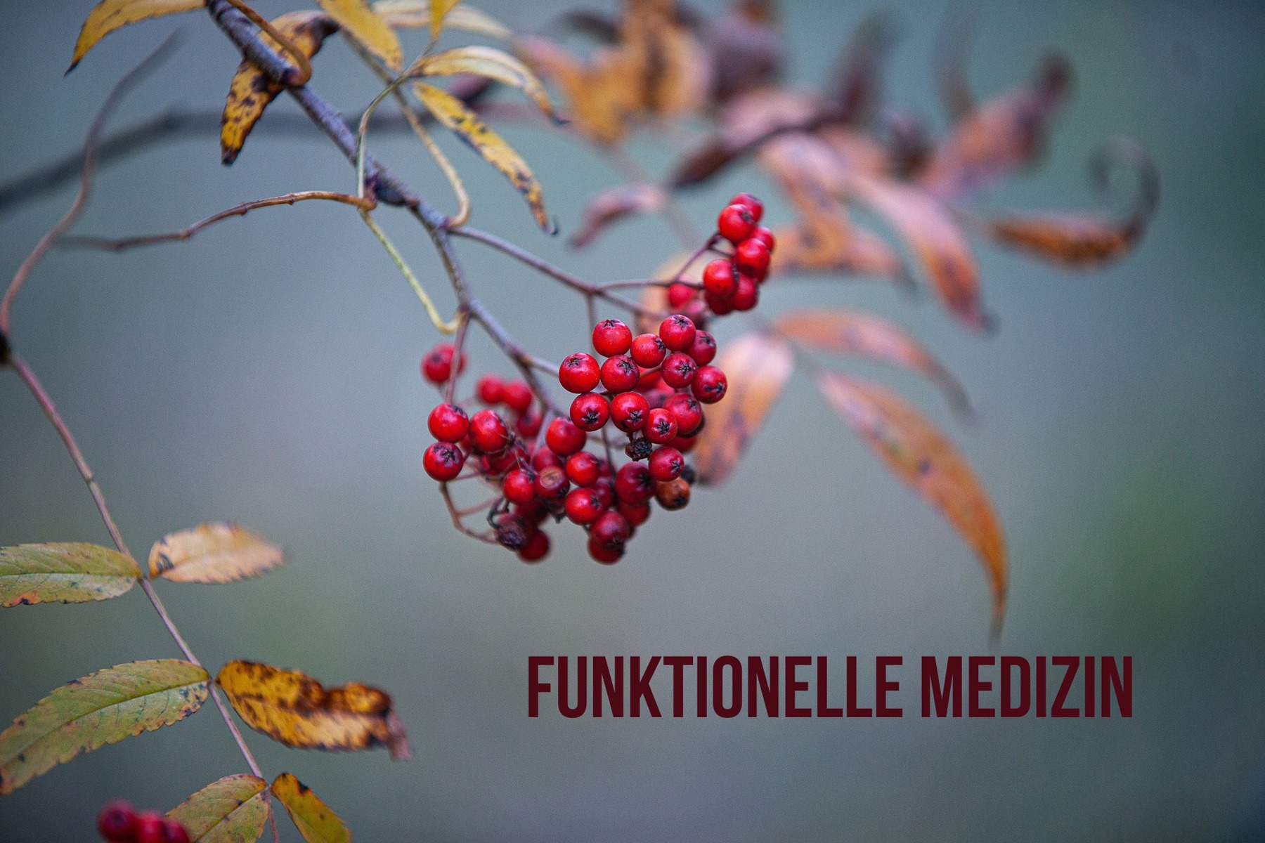 Funktionelle Medizin